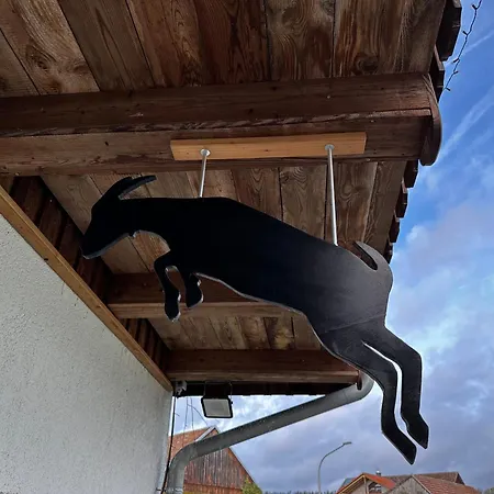 Zinipi Am Oldtimer Bei Amberg