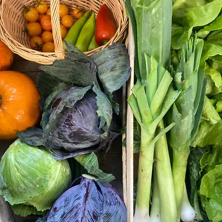 Zinipi Am Oldtimer Bei Amberg